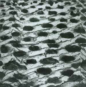 Work : Rainshadow: small storm