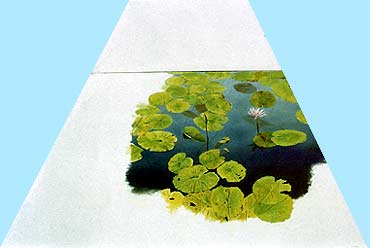 Work : Lotus Pond