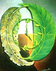 Work : Two Leaves