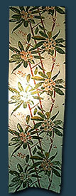 Frangipani