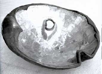 Work : Maya Leaf, 2000