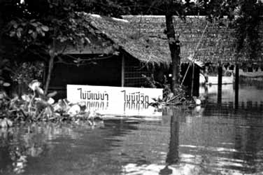 Title : Chao Praya River Side, Ayudhaya