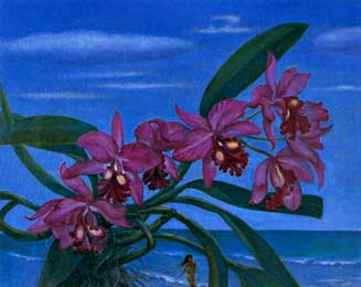 Lawan Upa-in : Orchid