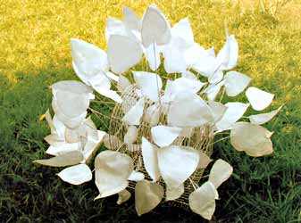 Sermsuk THiensoonthorn : 4 Levels of Rising Lotus, 2003