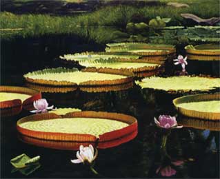 The Royal Victoria Lotus