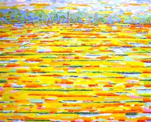 The yellow field, 2004