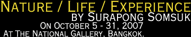 Exhibition : Nature / Life / Experience by Surapong Somsuk
