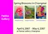 Spring Blossoms in Chiangmai by Nittaya Tamwong, Suppharat Ratcharin and Suwannee Sarakana