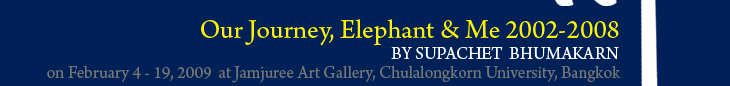 Exhibition : Our Journey, Elephant & Me 2002-2008 by Supachet  Bhumakarn