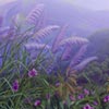 Essence of Flowers and Moutain by Sompol Yarungsee