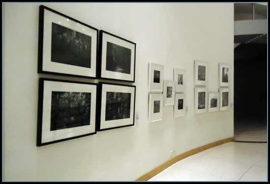14 Fine Art Photograph Exhibition