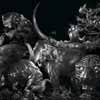 Enigmatic Animal Sculpture | การแสดงงานประติมากรรม ครั้งแรก ของ พไรวา ไรวา