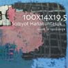 100x14x19.5 Art Exhibition by Somyot Hananuntasuk | สมยศ หาญอนันทสุข