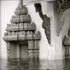 A Water Journey | พระเนตรผ่านเลนส์ by HRH Princess Sirivannavari Nariratana | พระเจ้าหลานเธอ พระองค์เจ้าสิริวัณณวรีนารีรัตน์