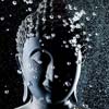 Buddha Image Talks | นิทรรศการวจนพุทธปฏิมา by Sermkhun Kunawong | เสริมคุณ คุณาวงศ์