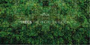 TREES, The Photo Exhibition | นิทรรศการภาพถ่าย