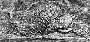 Black and White Thai*Land*Scape, Fine Art Photo by Somchai Suriyasathaporn and Jittima Sa-ngeamsunthron | นิทรรศการศิลปะภาพถ่ายขาวดำ โดย สมชาย สุริยาสถาพร และ จิตติมา เสงี่ยมสุนทร