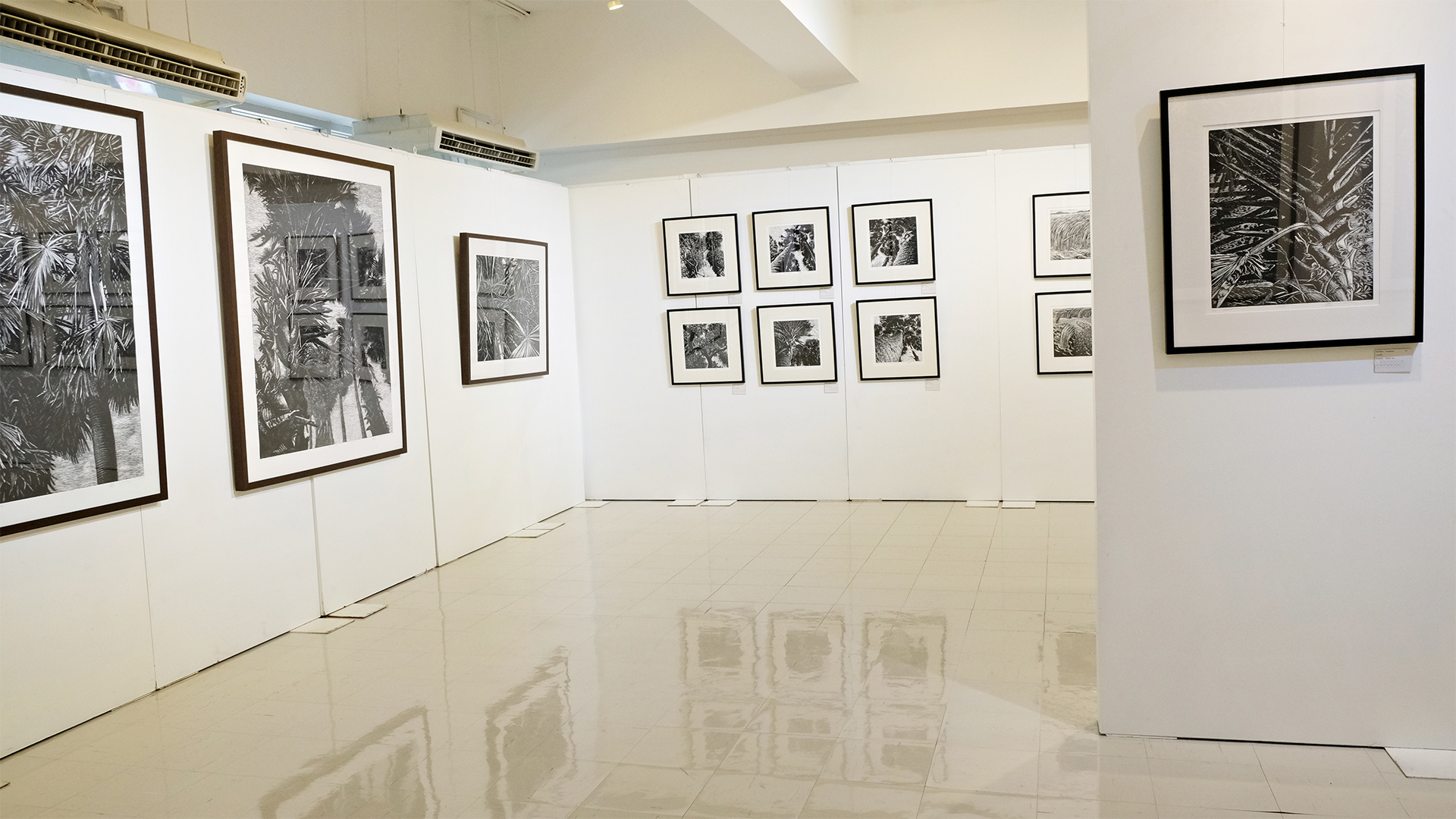 MAGIC FIELD Exhibitions By Monthian Yangthong | นิทรรศการมนตราแห่งท้องทุ่ง โดย มณเฑียร ยางทอง