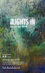 Lights IN By Yeoh Choo Kuan
