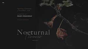 Nocturnal Flowers By Prapat Jiwarangsan โดย ประพัทธ์ จิวะรังสรรค์