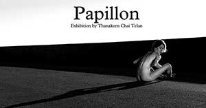 Papillon By Thanakorn Telan | ปาปิยอง โดย ธนากร เตลาน