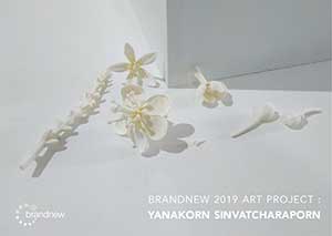 BRANDNEW 2019 ART PROJECT By Yanakorn Sinvatcharaporn (ญาณากร สินวัชราภรณ์)