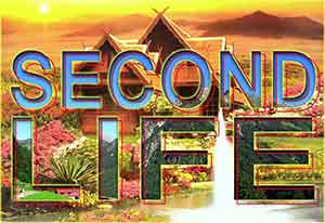 Second Life by Michel Aniol and Meike Kuhnert