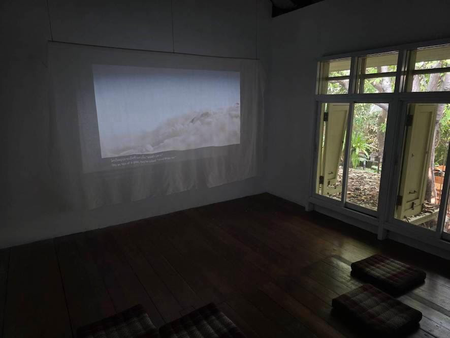 Weevils in Rice | มอด มอด โดย กนกวรรณ สุทธัง