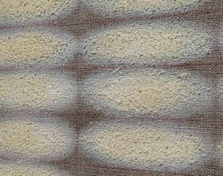 Weevils in Rice | มอด มอด โดย กนกวรรณ สุทธัง