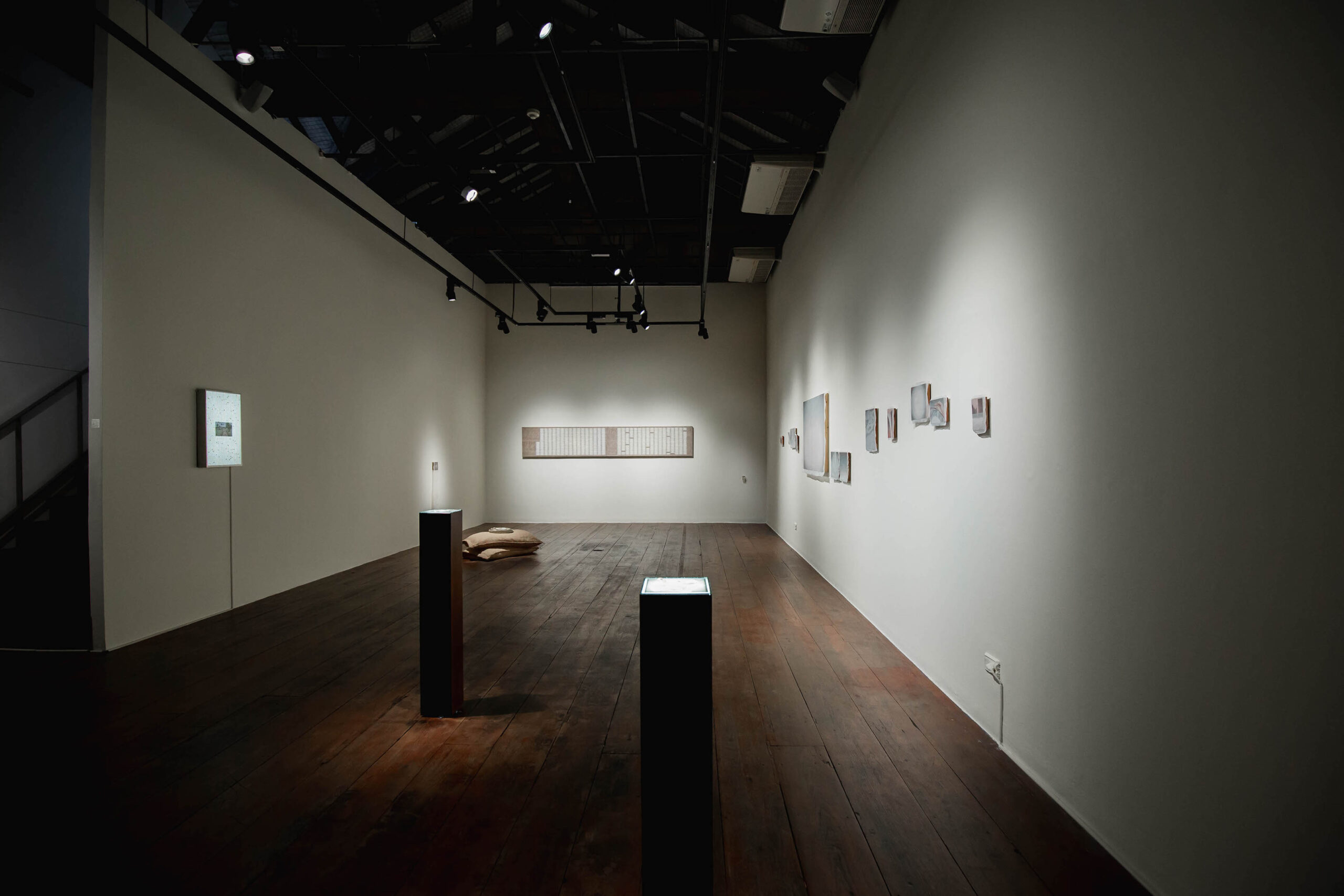 Weevils in Rice | มอด มอด โดย กนกวรรณ สุทธัง