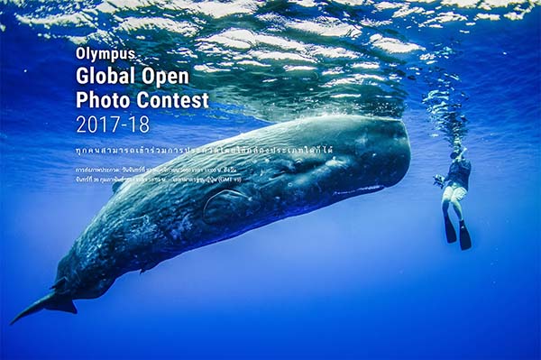 ประกวดภาพถ่าย Olympus Global Open Photo Contest 2017-18