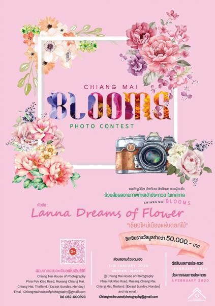 Lanna Dreams of Flower : Photo Contest | ประกวดภาพถ่าย เชียงใหม่เมืองแห่งดอกไม้