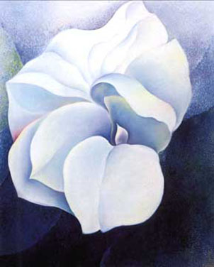 White Flower-2