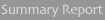 Summary Report