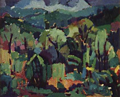 Doi inthanond, 1993