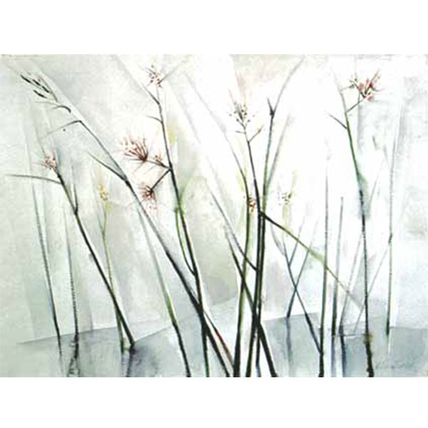 Water-grasses, 1984 Attr. Water colour Sized Unknown