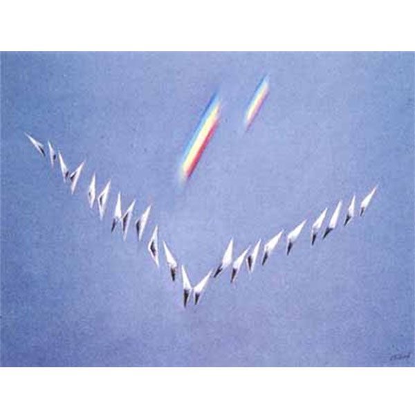Flying Birds, 1991 Attr. Oil on canvas 70 x 90 cm.