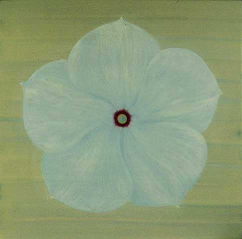 Work : Roadside Flower 2002