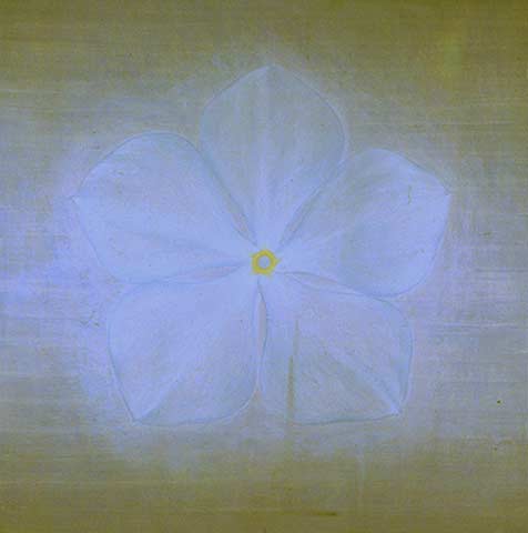 Roadside Flower 2002