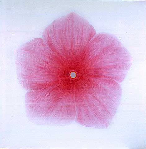 Roadside Flower 2002