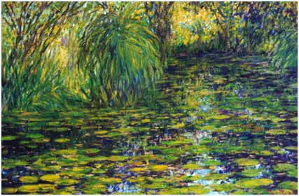 Work : Lotus Swamp 6